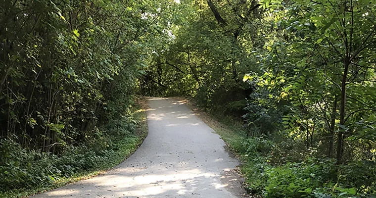 THE ROAD TO KINDNESS