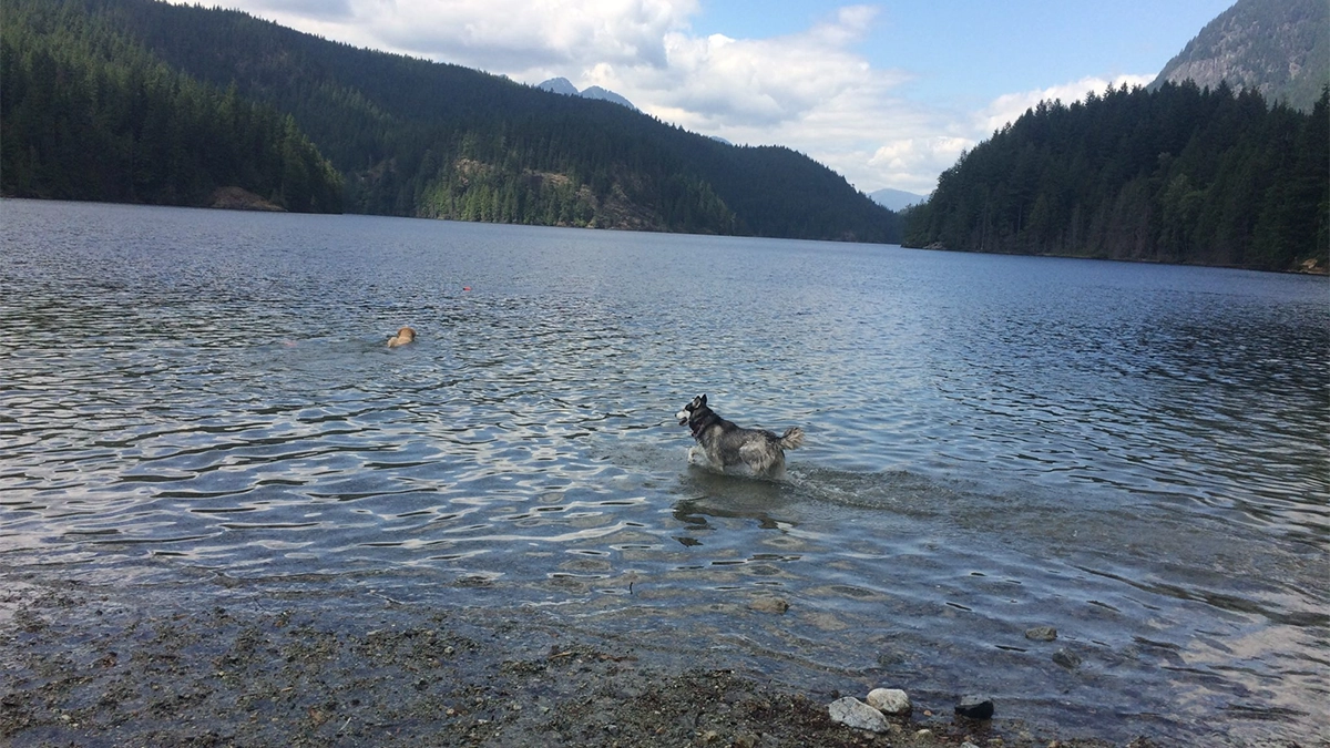 WE ARE WALKING, AGAIN?